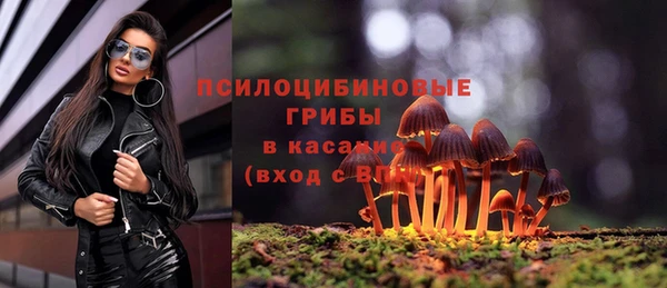 спайс Лихославль